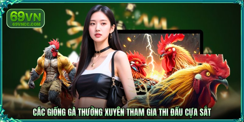 Các giống gà thường xuyên tham gia thi đấu cựa sắt