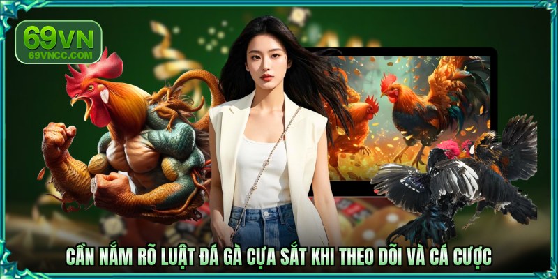 Cần nắm rõ luật đá gà cựa sắt khi theo dõi và cá cược