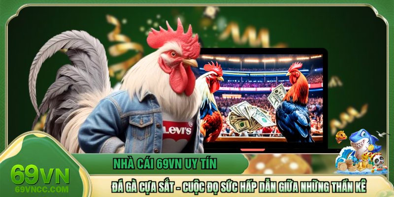 Đá Gà Cựa Sắt – Cuộc Đọ Sức Hấp Dẫn Giữa Những Thần Kê