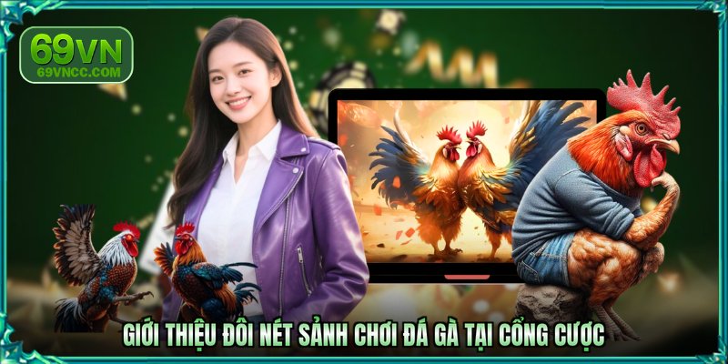 Giới thiệu đôi nét sảnh chơi đá gà tại cổng cược